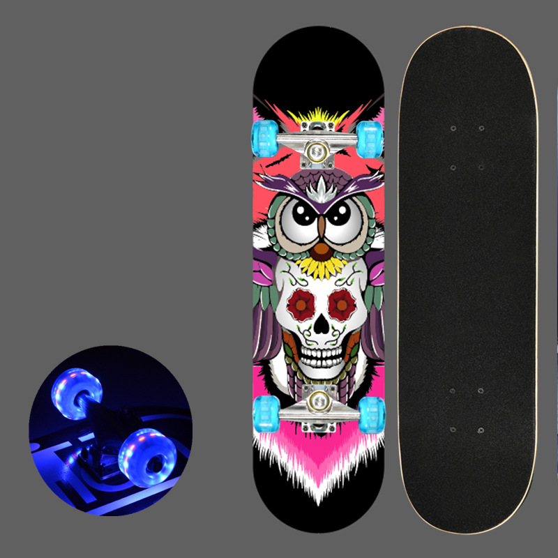 OWL (543PU FLASH)